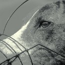 Thema 2 Reflex 82 Meckesheim 03 Sigmund Harry